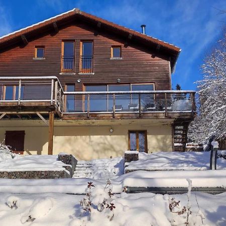 Le Cerf, Chalet Cocooning Avec Piscine Et Billard Ban-sur-Meurthe-Clefcy Buitenkant foto