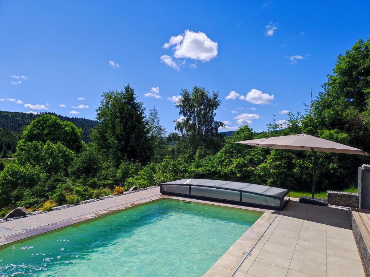Le Cerf, Chalet Cocooning Avec Piscine Et Billard Ban-sur-Meurthe-Clefcy Buitenkant foto