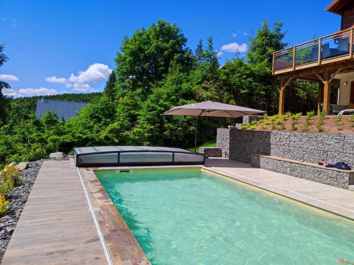 Le Cerf, Chalet Cocooning Avec Piscine Et Billard Ban-sur-Meurthe-Clefcy Buitenkant foto