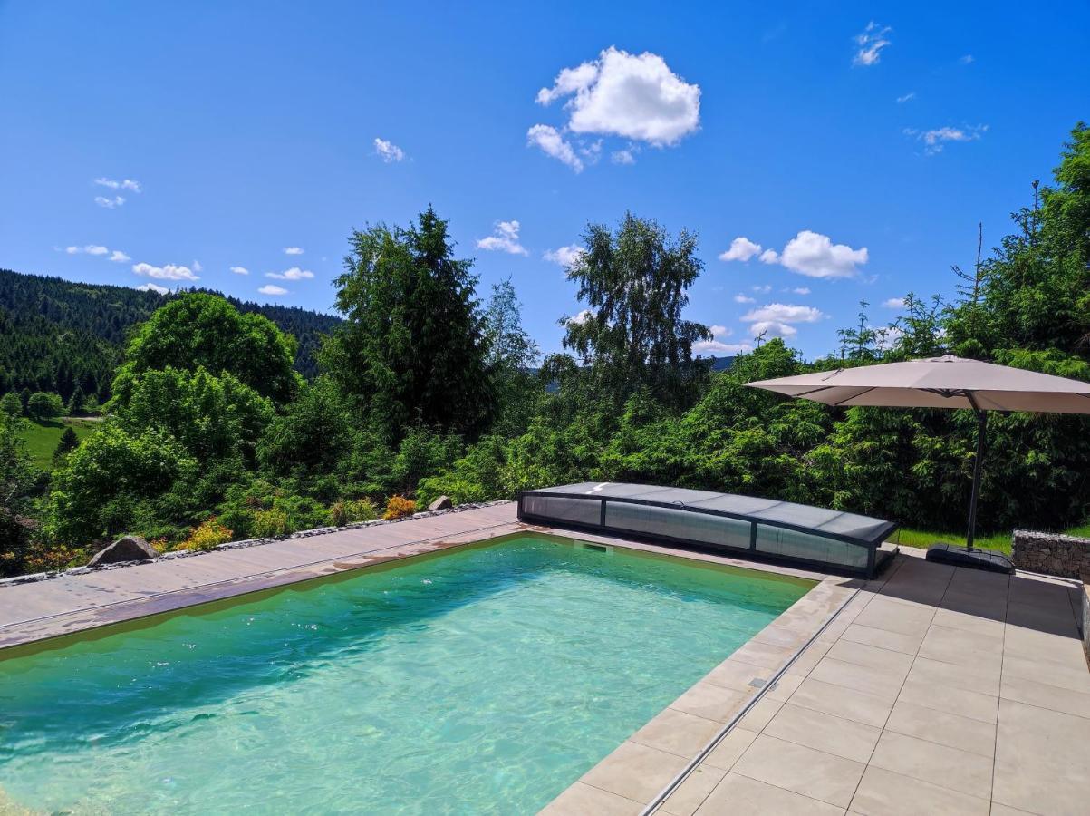Le Cerf, Chalet Cocooning Avec Piscine Et Billard Ban-sur-Meurthe-Clefcy Buitenkant foto