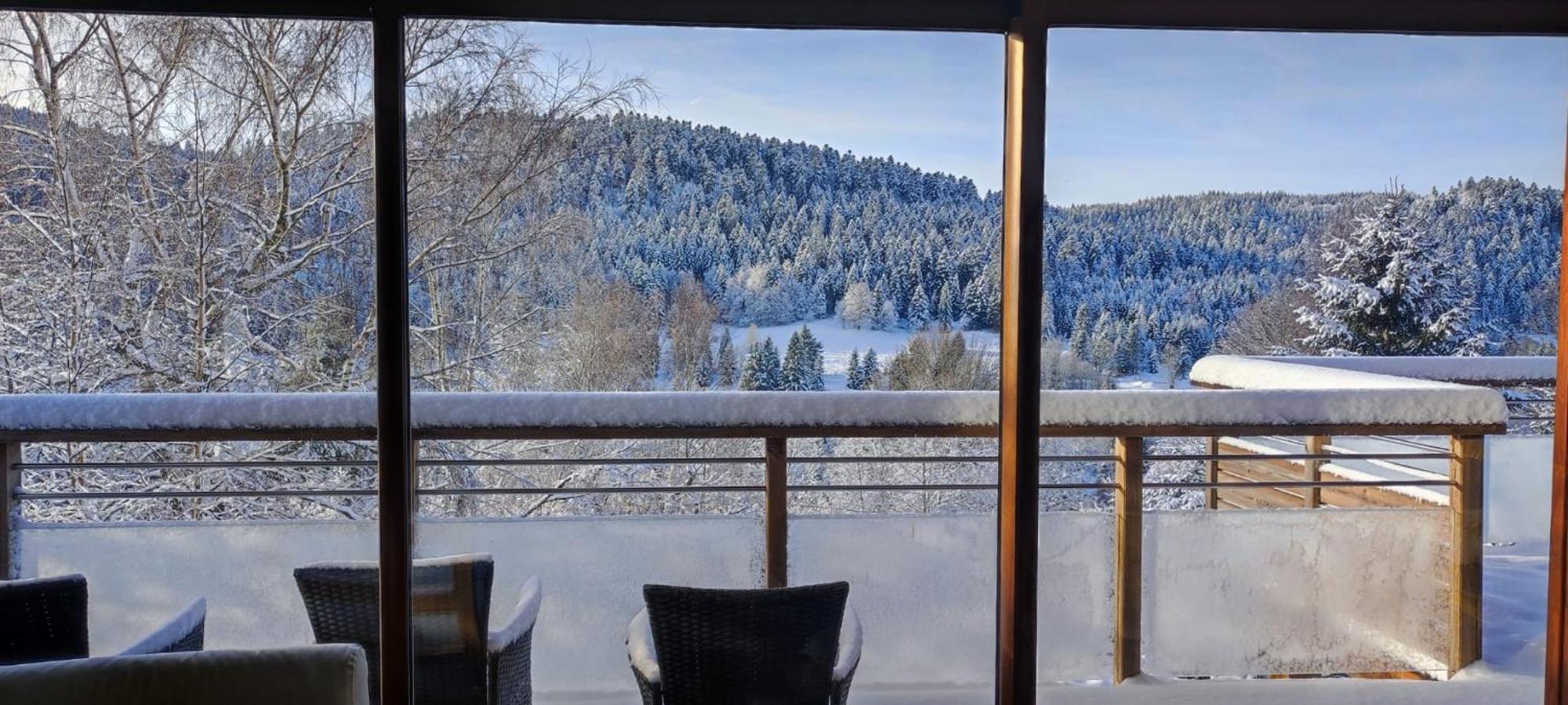 Le Cerf, Chalet Cocooning Avec Piscine Et Billard Ban-sur-Meurthe-Clefcy Buitenkant foto